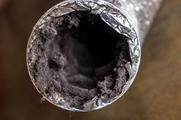 Best Ventilation Cleaning Services  in Rensselaer, IN