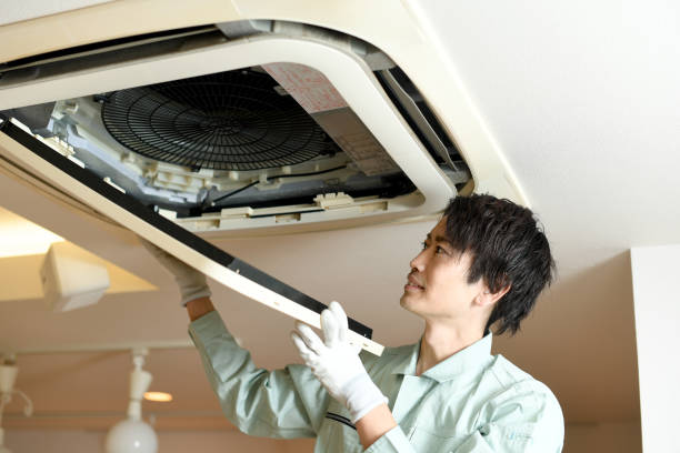 Best Air Duct Sanitizing Services  in Rensselaer, IN