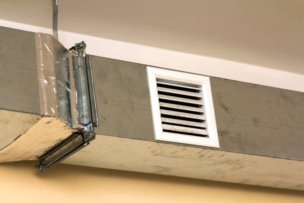 Best Ductwork Cleaning Services  in Rensselaer, IN
